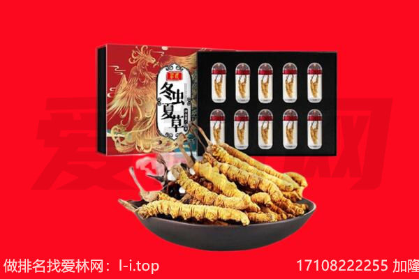 丽水景宁县回收虫草.jpg